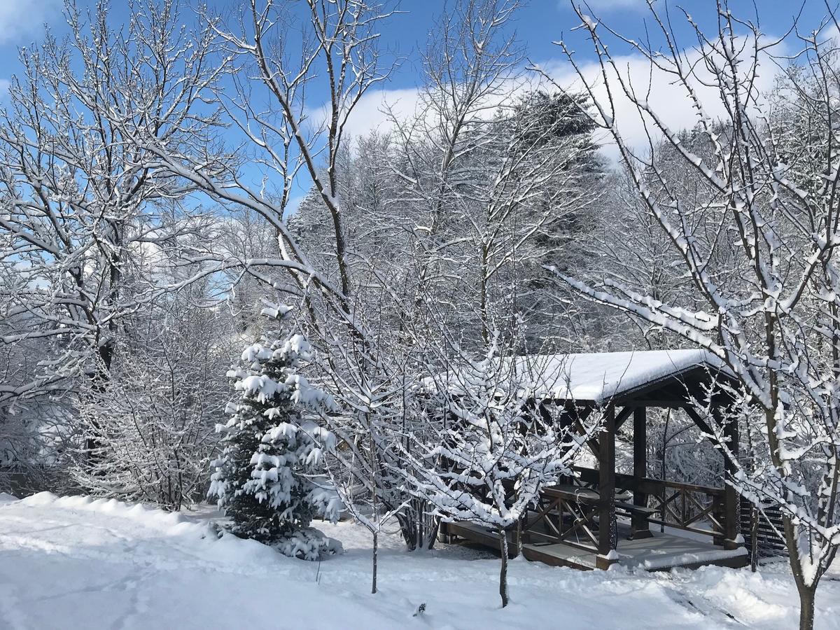 Gallery Of Mountains Holiday Home Ясіня Екстер'єр фото