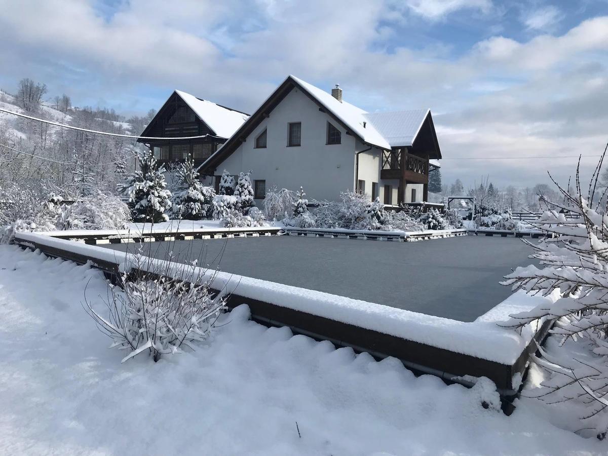 Gallery Of Mountains Holiday Home Ясіня Екстер'єр фото