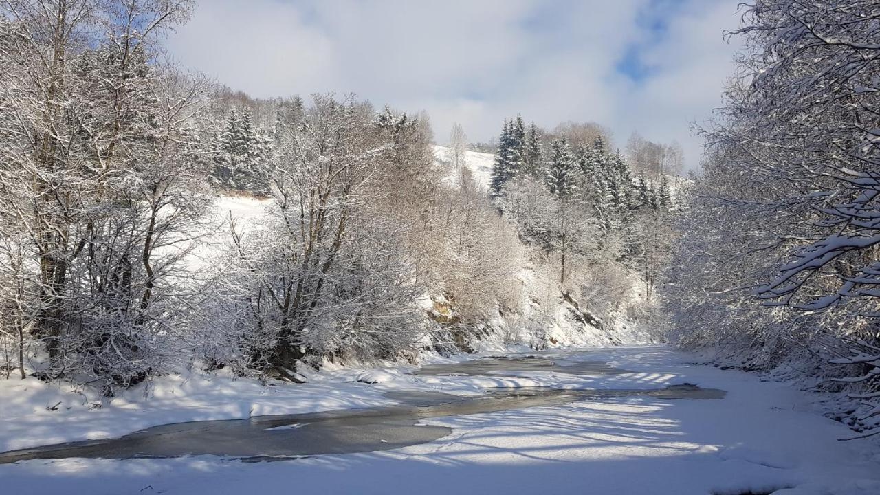 Gallery Of Mountains Holiday Home Ясіня Екстер'єр фото